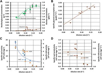 PAOX1 expression in mixed-substrate continuous cultures of Komagataella phaffii (Pichia pastoris) is completely determined by methanol consumption regardless of the secondary carbon source